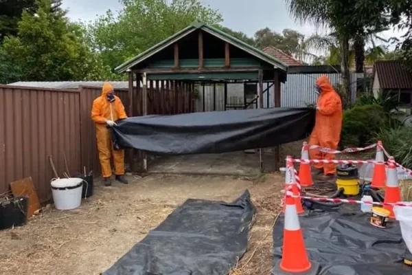 Asbestos-Removal