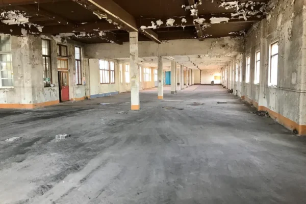 strip-out-after